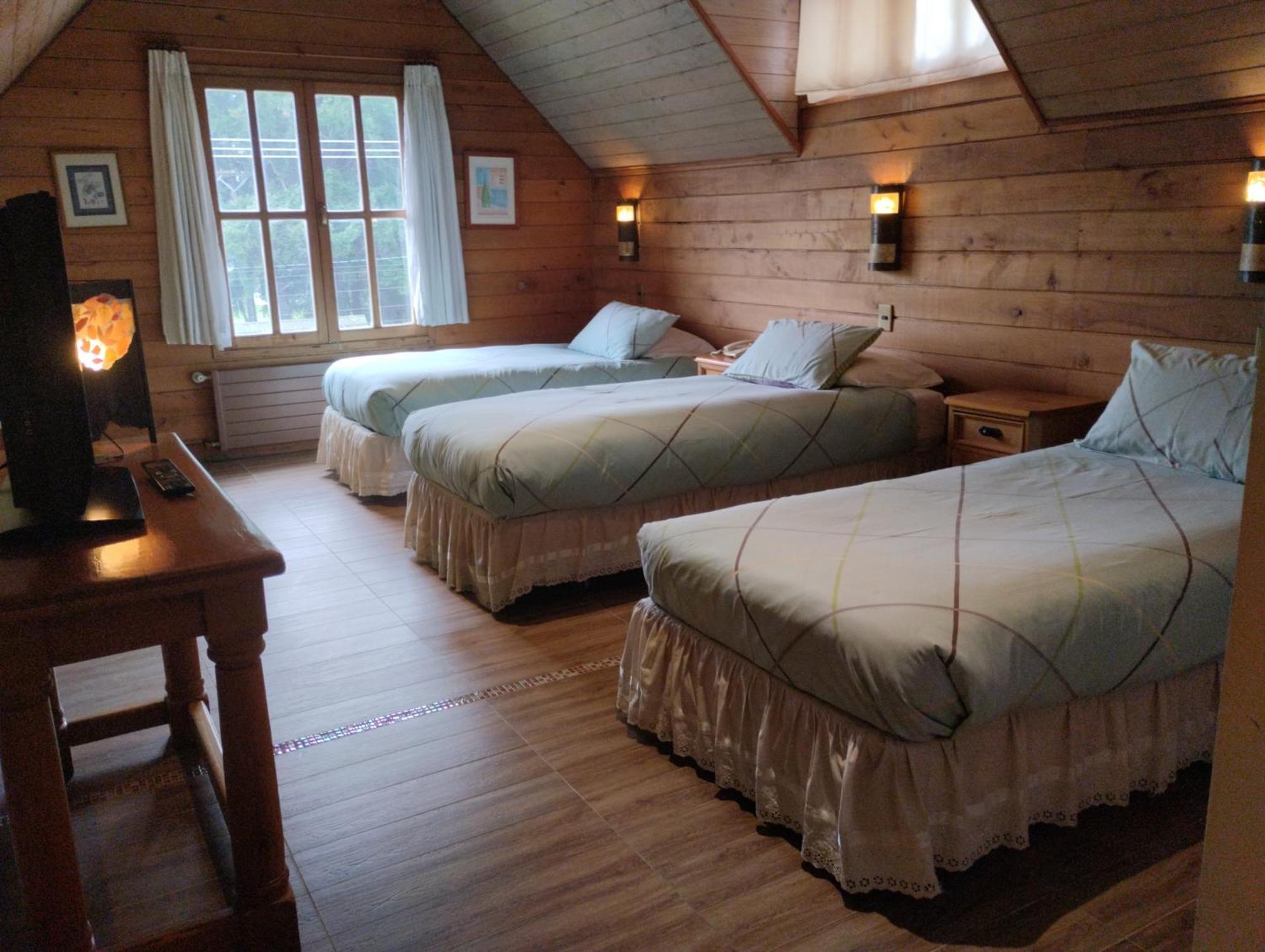 Hotel Malalhue プコン エクステリア 写真