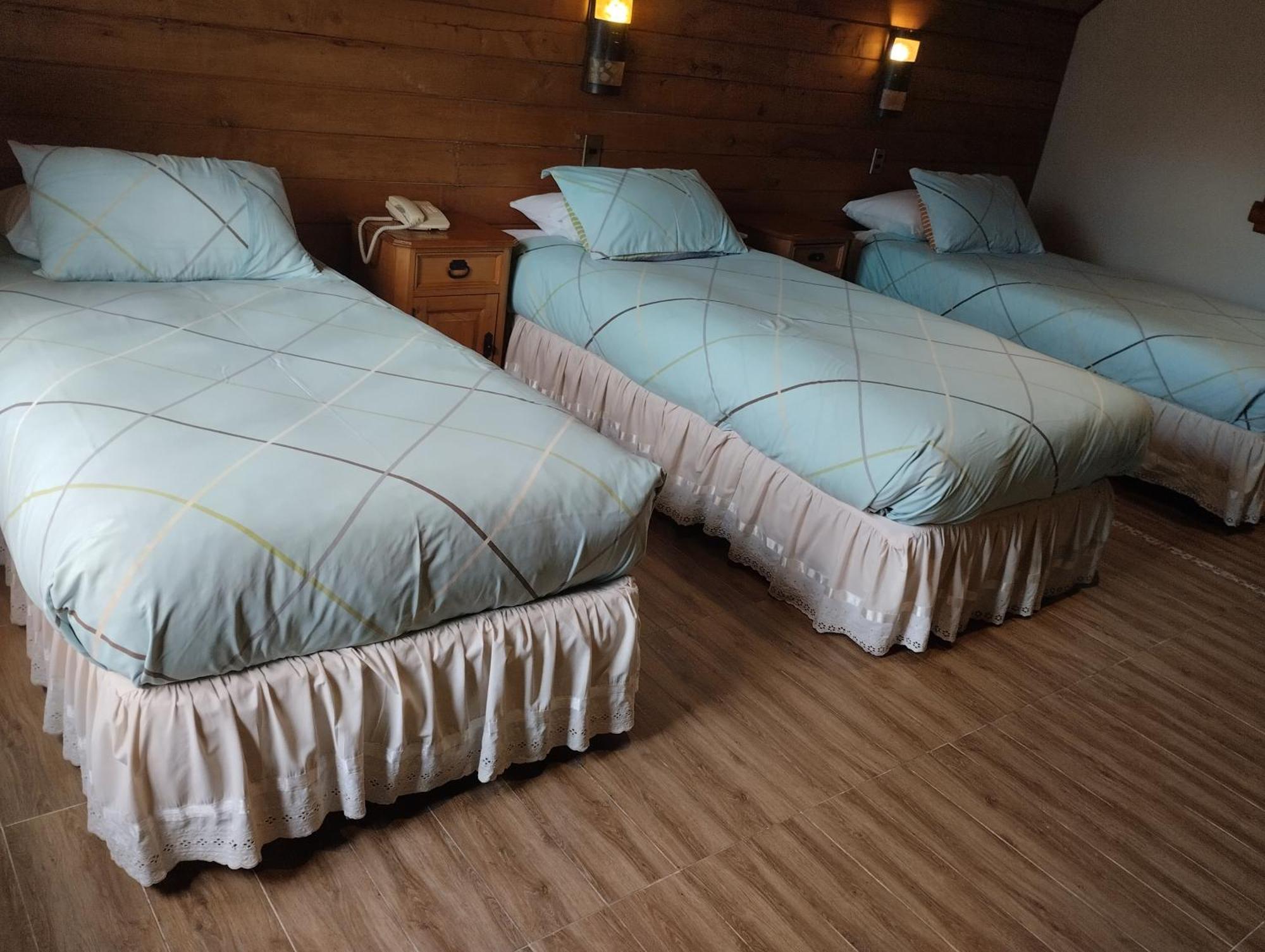 Hotel Malalhue プコン エクステリア 写真