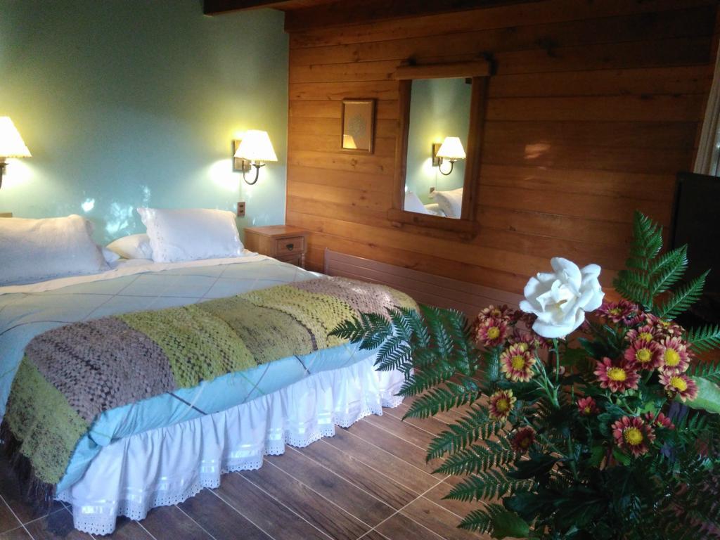 Hotel Malalhue プコン エクステリア 写真