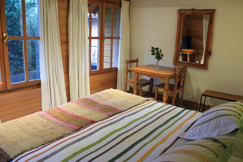 Hotel Malalhue プコン エクステリア 写真